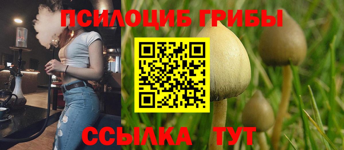 Псилоцибиновые грибы ЛСД Богородск