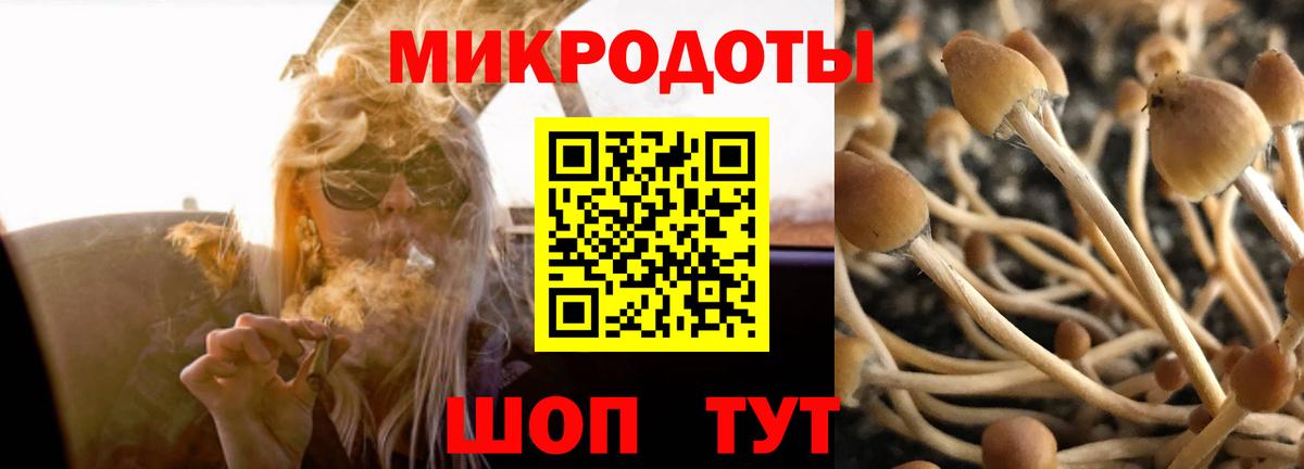 Галлюциногенные грибы мицелий  магазин продажи   Вход с VPN  Богородск  Галлюциногенные грибы Psilocybe 